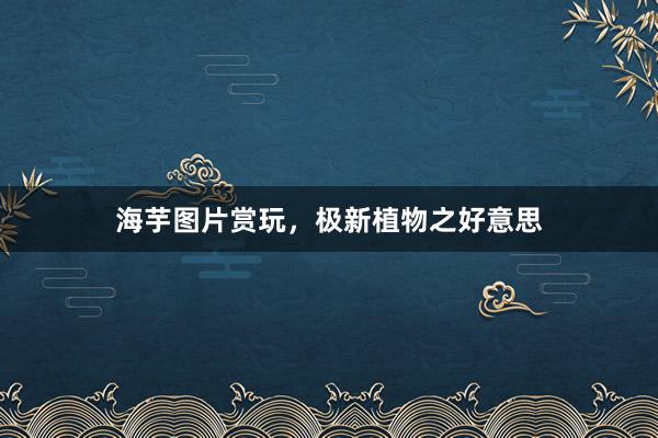 海芋图片赏玩，极新植物之好意思