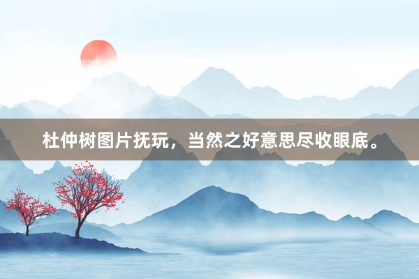杜仲树图片抚玩，当然之好意思尽收眼底。