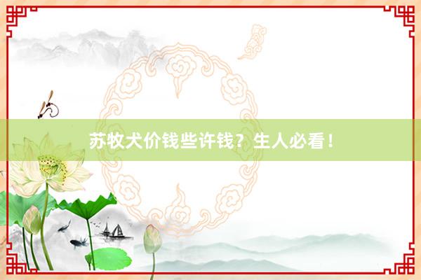 苏牧犬价钱些许钱？生人必看！