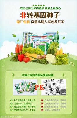 江蘇省淮安市大棚蔬菜種子哪里有賣(mài)的-種植基地