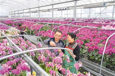 小院 里有大文章 一號文件連連看⑥